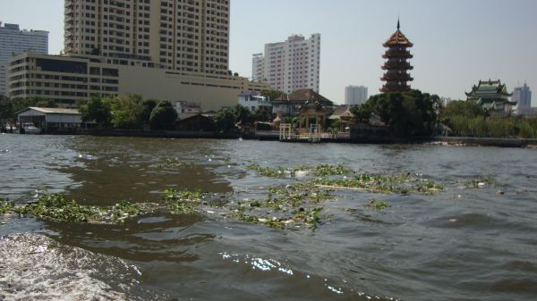 DSC02186