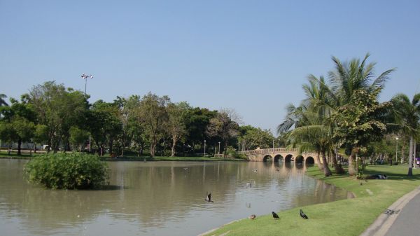 DSC02253