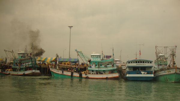 DSC02323