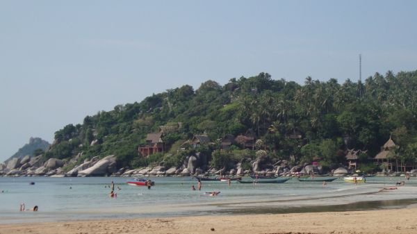 DSC02336