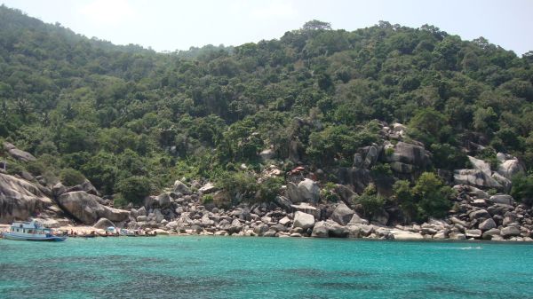 DSC02378