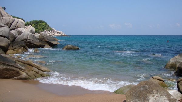 DSC02436