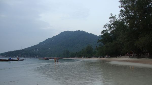 DSC02479