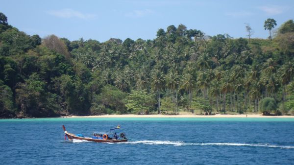 DSC02509