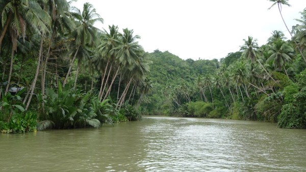 05ddd-0312-p1060101