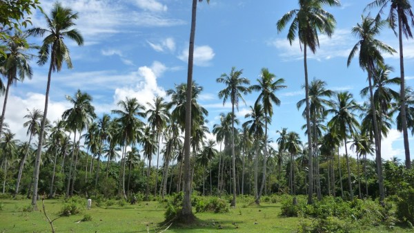 ad5cf-0753-p1060639