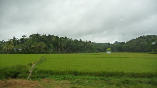 c6a33-0267-p1060021