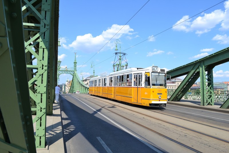 dd7c3-dsc_1549
