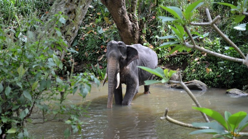 08d47-20130201_srilanka789