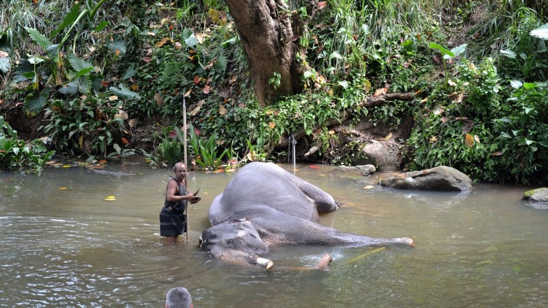 15b1f-20130201_srilanka797