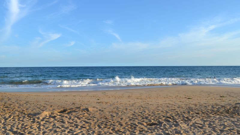 20130201_Sri Lanka (317)