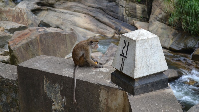 20238-20130201_srilanka450