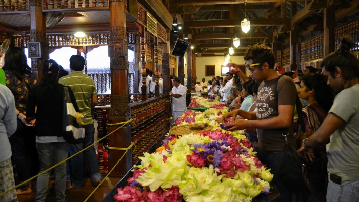 36fe6-20130201_srilanka649