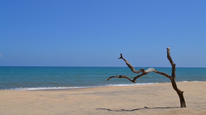 40394-20130201_srilanka25289652529