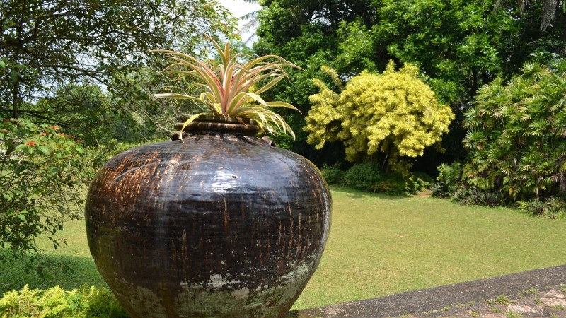 43ee3-20130201_srilanka82