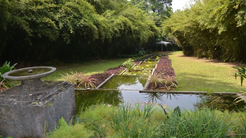 49105-20130201_srilanka85