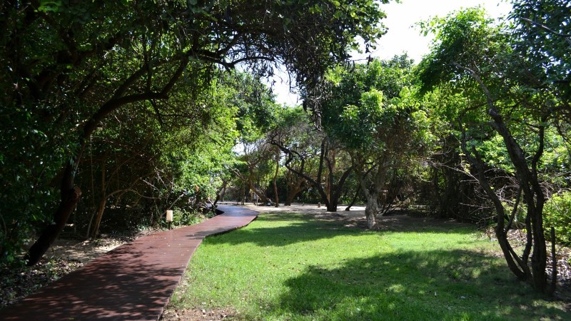 849c9-20130201_srilanka959