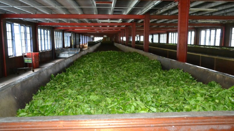 9a663-20130201_srilanka524