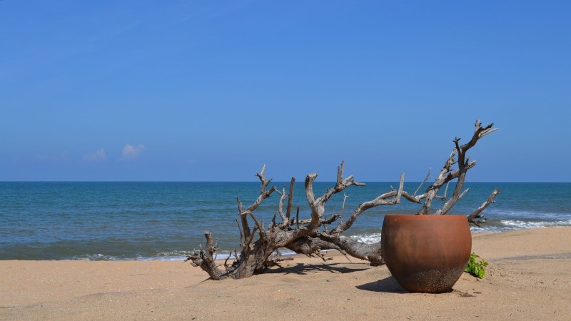 9b131-20130201_srilanka939