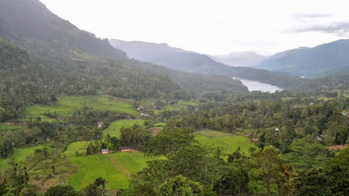 9d0a3-20130201_srilanka543