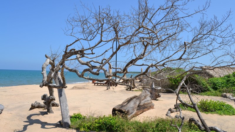 d45e8-20130201_srilanka980