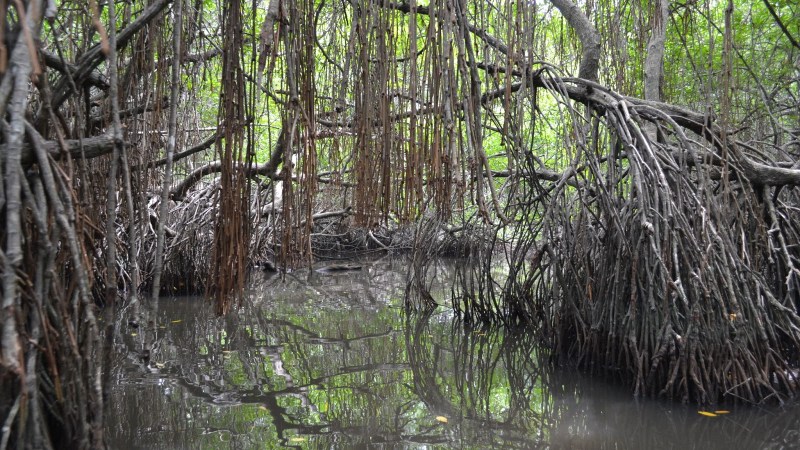 f3369-20130201_srilanka138