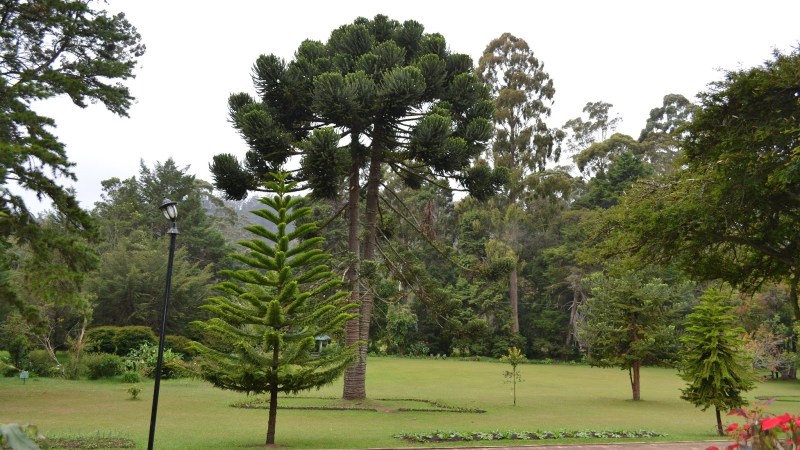 f65a8-20130201_srilanka573