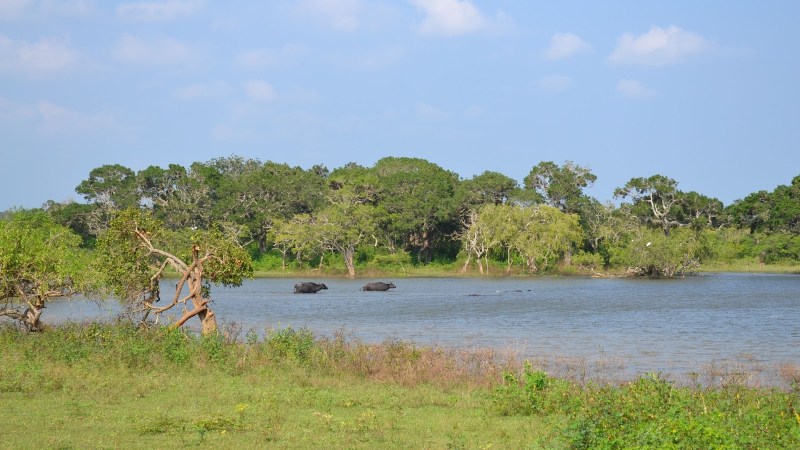 fa2f0-20130201_srilanka377