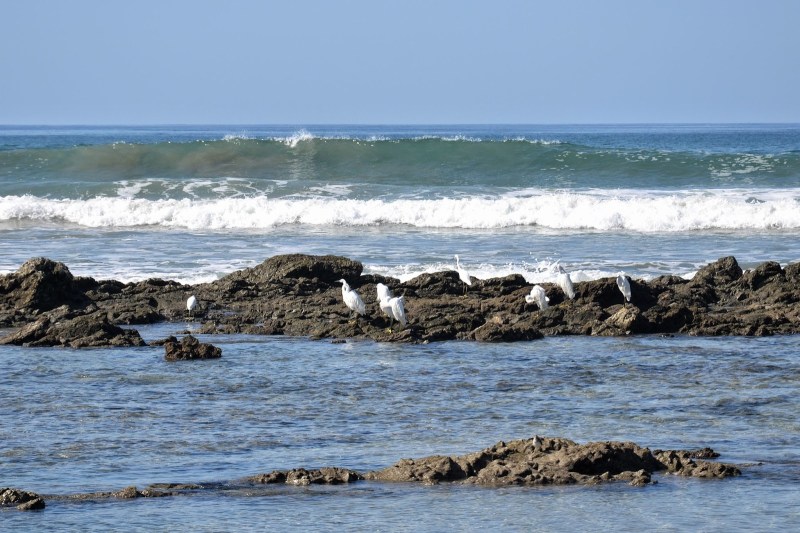 1730a-2014_kostarika183