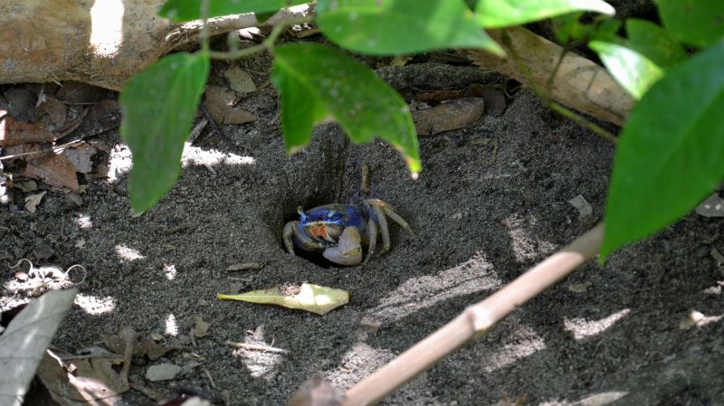 2014_Kostarika (1049)