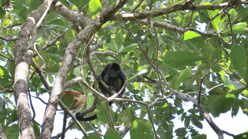 2014_Kostarika (1056)