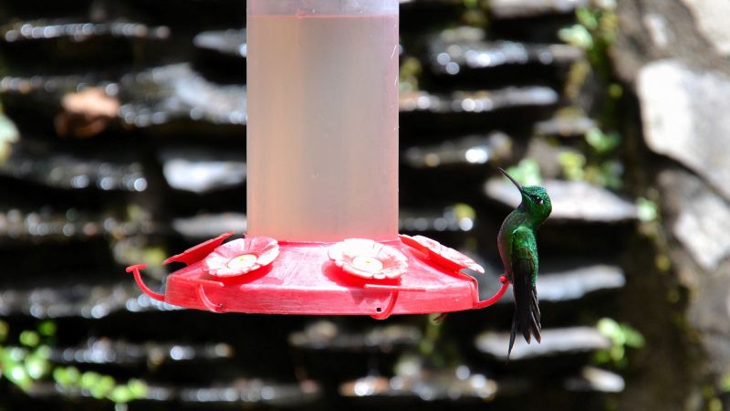 2014_Kostarika (1107)