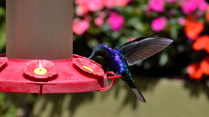 2014_Kostarika (1110)