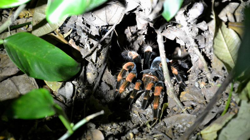 2014_Kostarika (1119)