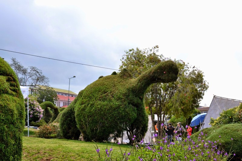 c8f7b-2014_kostarika232