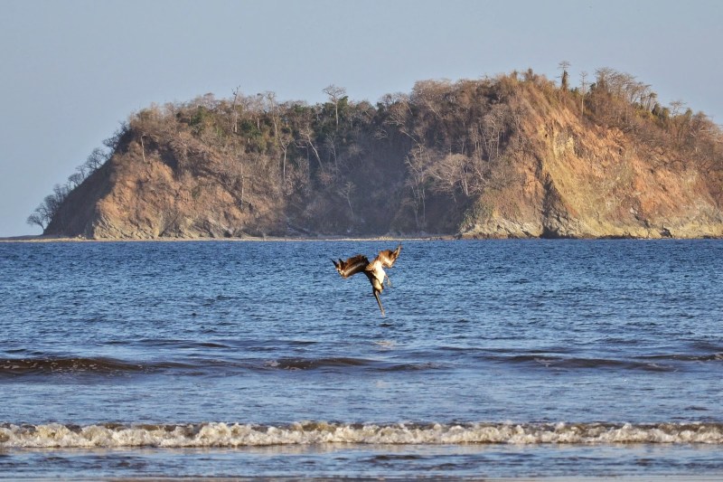 ee949-2014_kostarika211