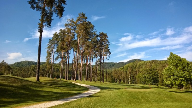 15337-wp_20140506_067