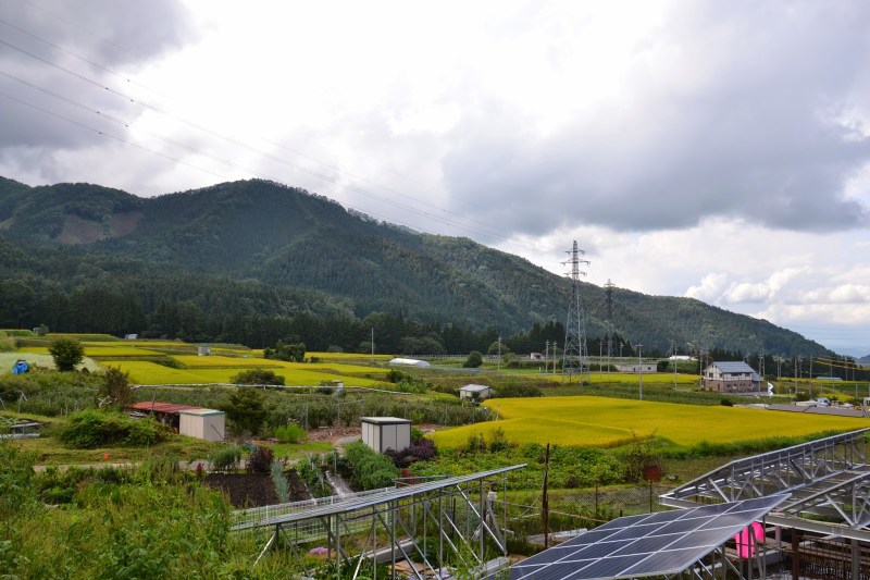 db543-japonska2b2841529