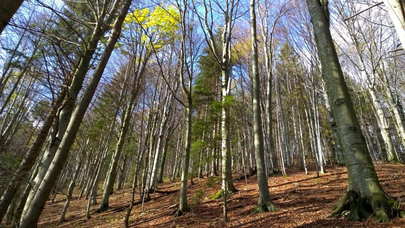 05214-wp_20141018_11_51_18_pro