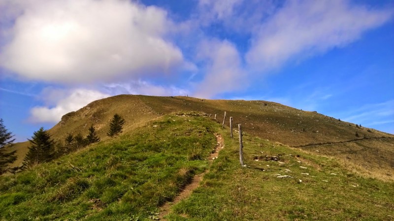 05907-wp_20141018_12_38_07_pro