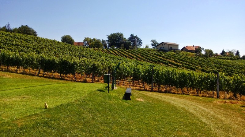 41752-wp_20130816_012