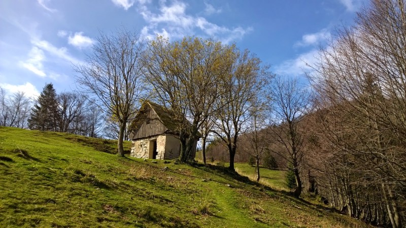 4b84c-wp_20141018_12_05_07_pro