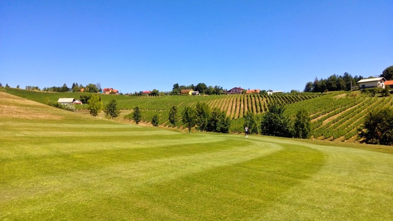 54962-wp_20130816_015