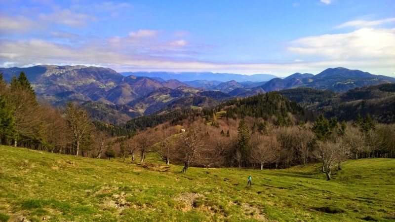 65a8d-wp_20141018_12_21_39_pro