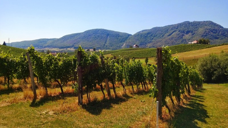 8c17b-wp_20130816_011