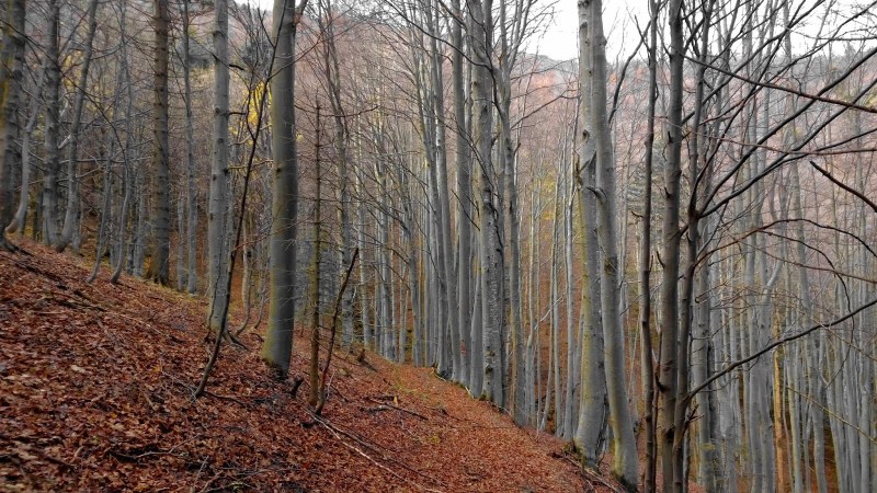 eddfe-wp_20141018_14_22_58_pro2b28329