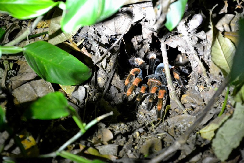 15aa9-2014_kostarika2b28111929