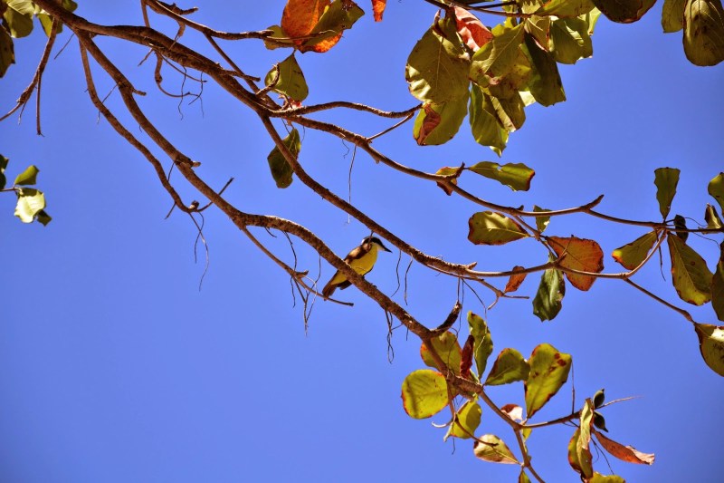 420e9-2014_kostarika2b1165