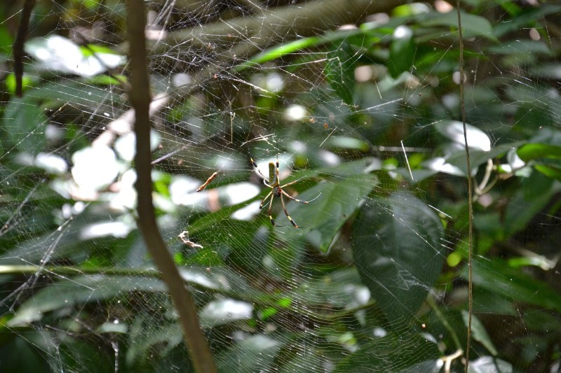 57ece-2014_kostarika2b28104829