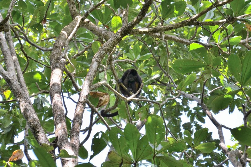 9c3e8-2014_kostarika2b28105629